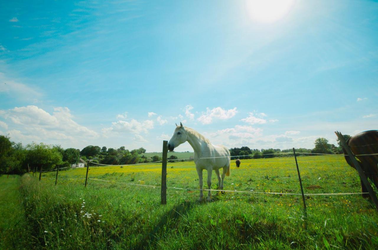 Ouffieres La Ferme Des Episゲストハウス エクステリア 写真